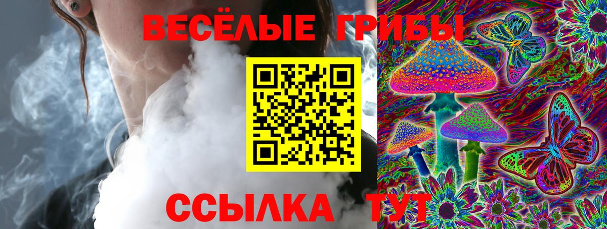 Псилоцибиновые грибы прущие грибы Кубинка